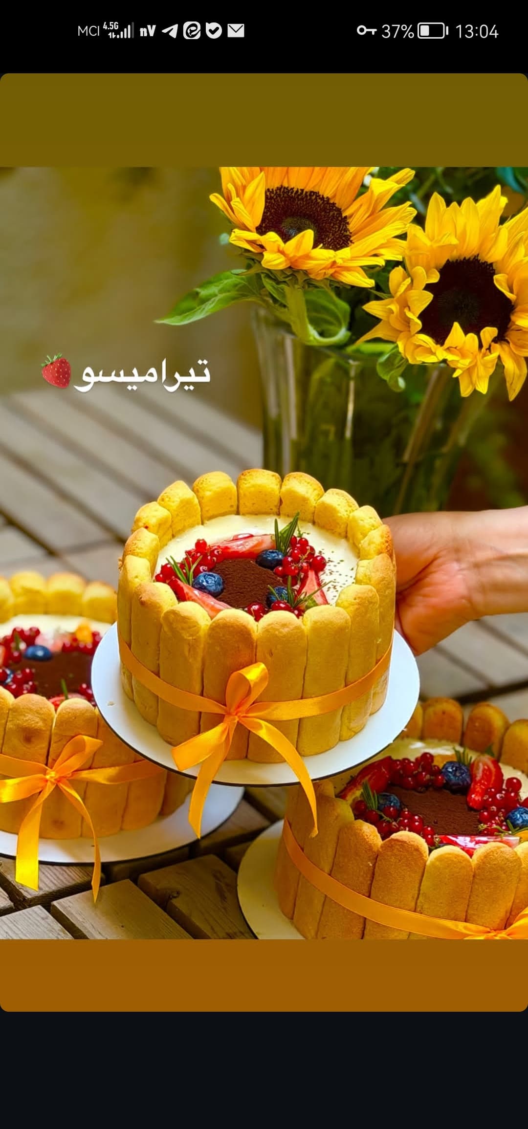 تیرامیسو قالبی 4نفره